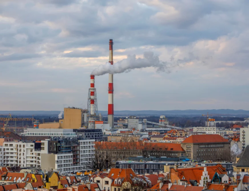 Polish grid “requires $116bn” for renewable upgrade: CEO